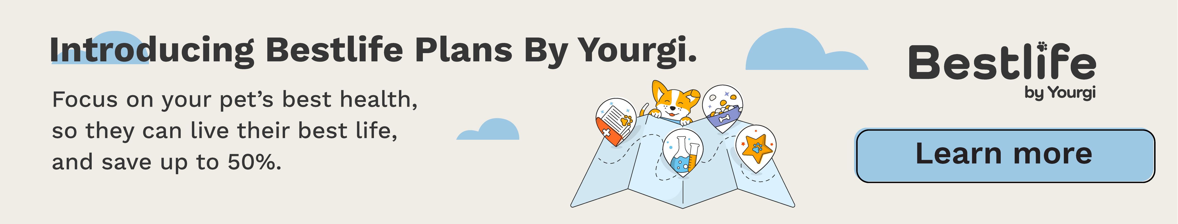 Bestlife vet plans banner