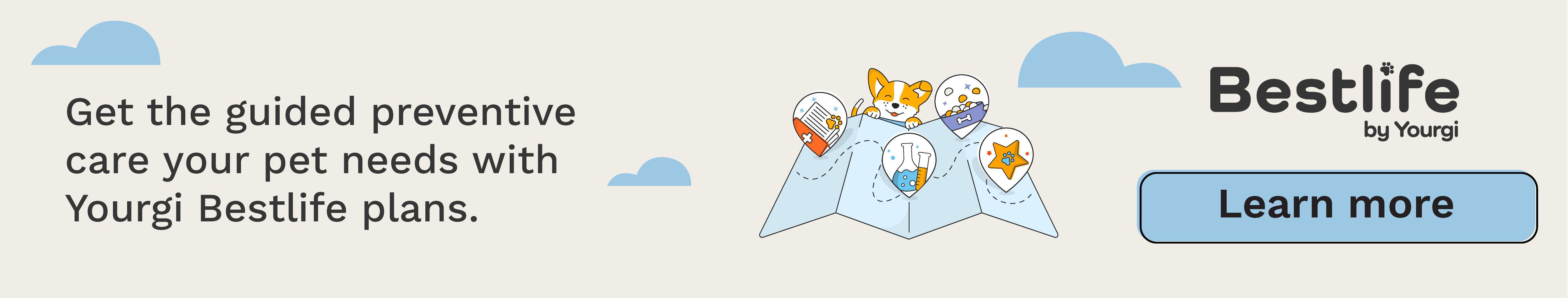 Bestlife grooming plans banner