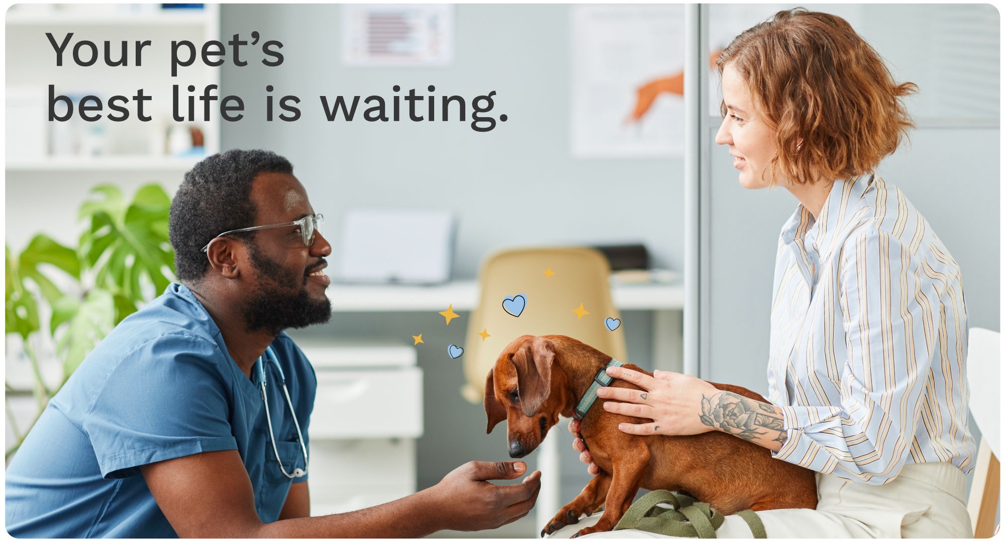 Vet talking to a dog and its owner