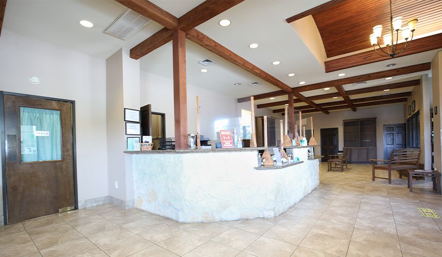 all community animal hospital reception